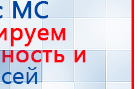 СКЭНАР-1-НТ (исполнение 01)  купить в Красноармейске, Аппараты Скэнар купить в Красноармейске, Медицинская техника - denasosteo.ru